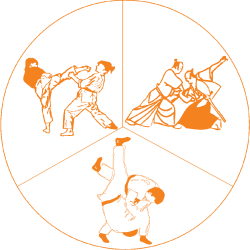 Atemi-Ryu Jiu-Jitsu